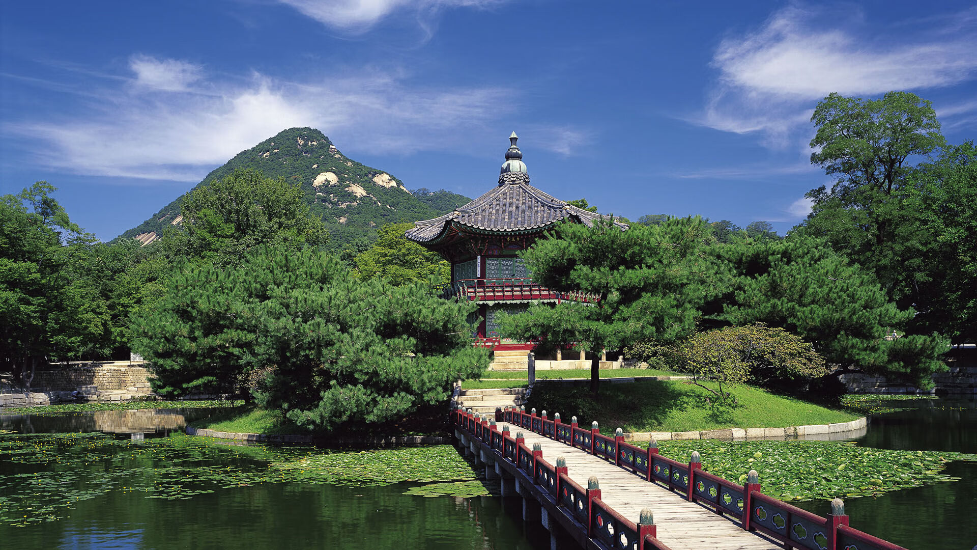 _多彩运动嘉年华:全民参与的欢乐盛会_,多姿多彩运动会