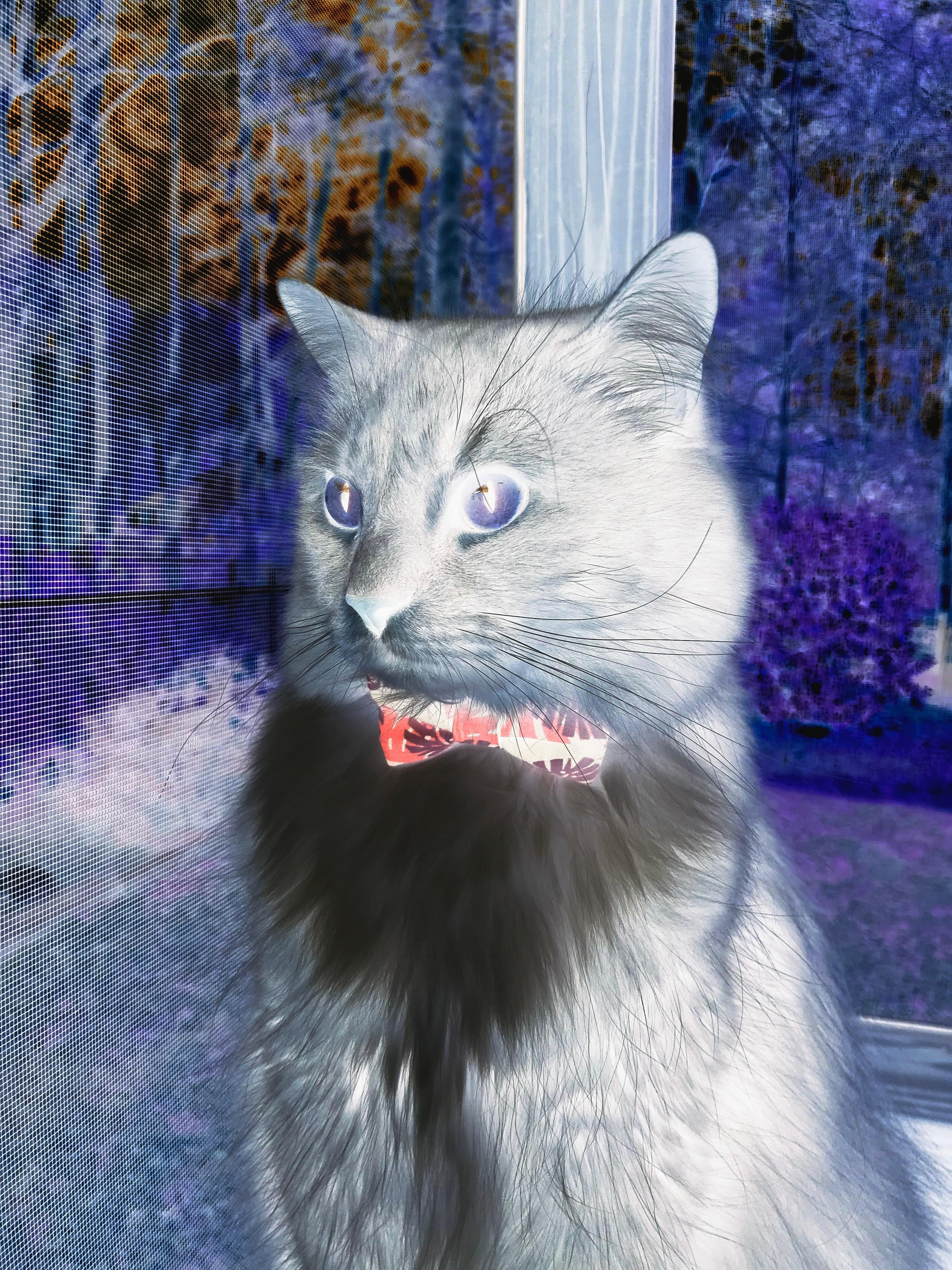 九游下载安装-_年度盛事：网球界的年度大盘点_，网球年终排名前十