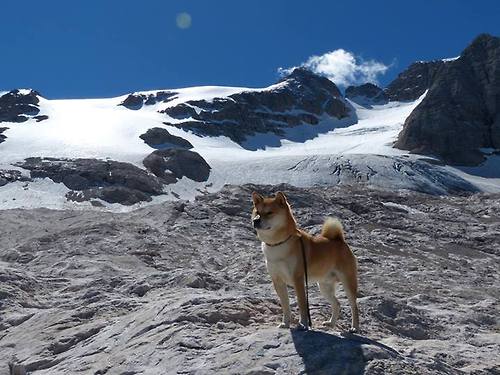 _快船迎战强敌,团队配合令人称赞_,快船全队