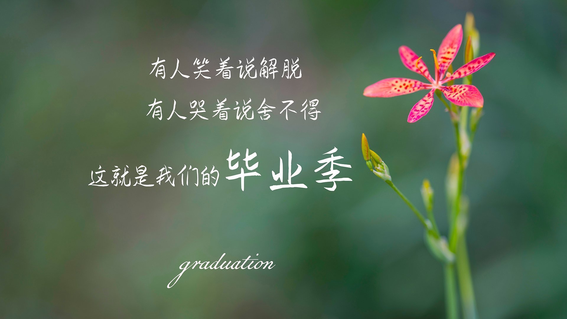 九游娱乐官网 (jiuyou)-《《守望先锋》新英雄“炼狱”正式登场，战术多变》，守望先锋janus