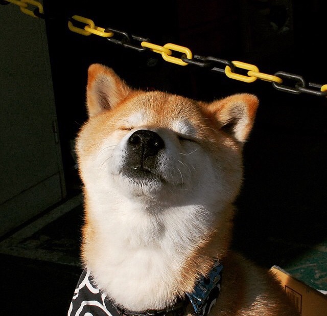 全景高空绳索穿越赛,极速体验天空之巅,高空绳网探险拓展项目