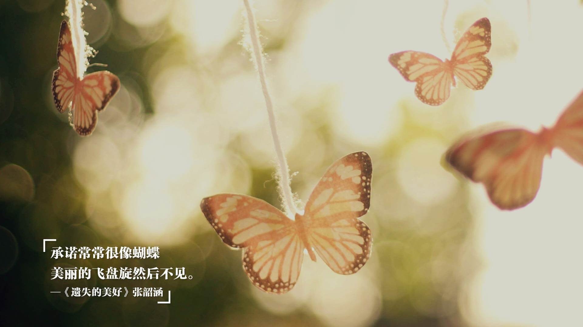 大型全民健身节,创造运动新风潮,大型全民健身活动