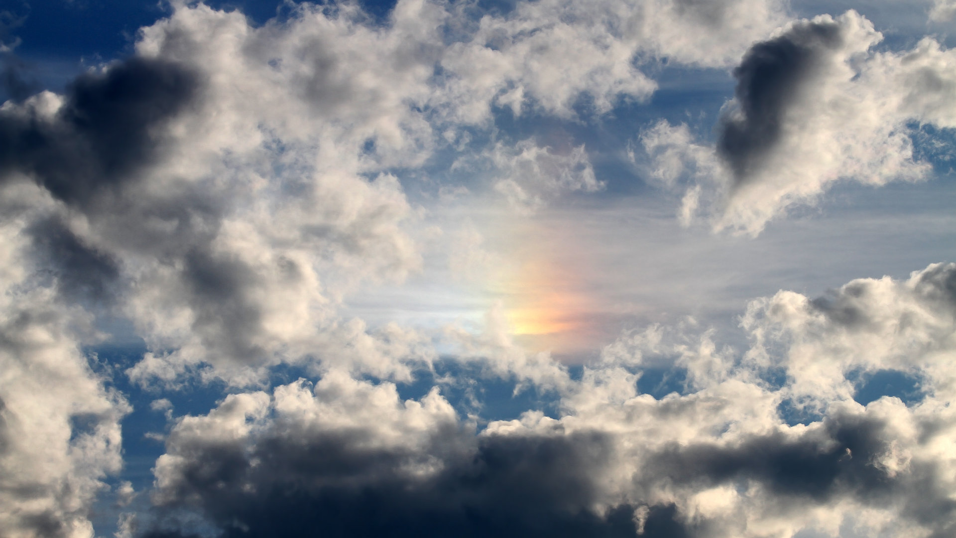 斯台普斯中心球迷热情支持湖人，连续五场满座，nba斯台普斯球馆门票