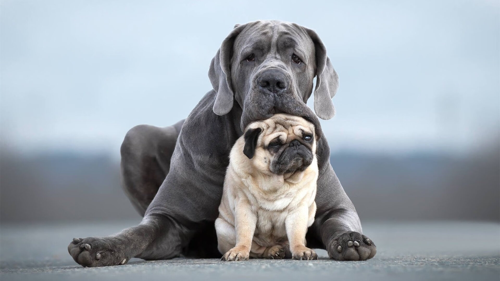 九游娱乐(jiuyou)官网-未来联赛：线上线下融合，打造“全民篮球节”，线上篮球活动