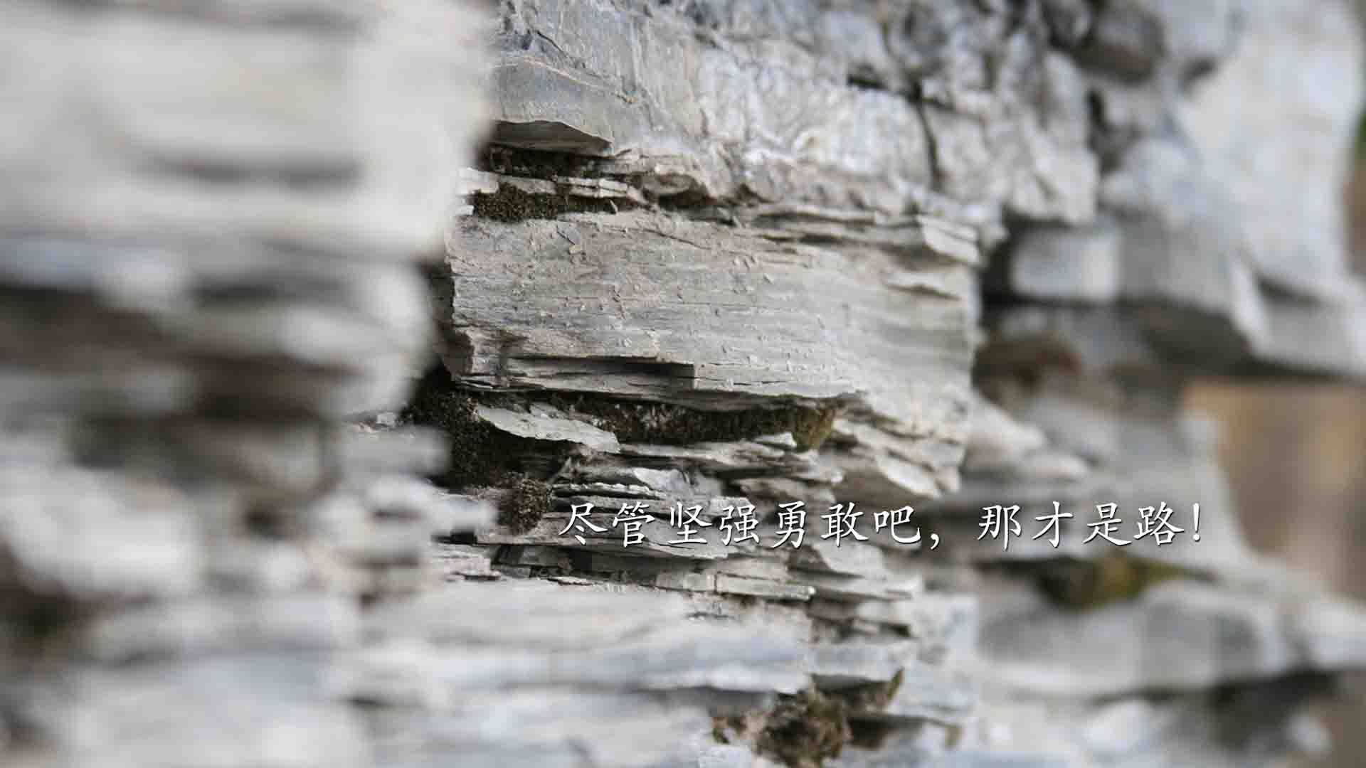 比利时骑手吉尔·托马斯在2024年国际马术联合会障碍赛世界巡回赛中获得个人第六名,表现出色。