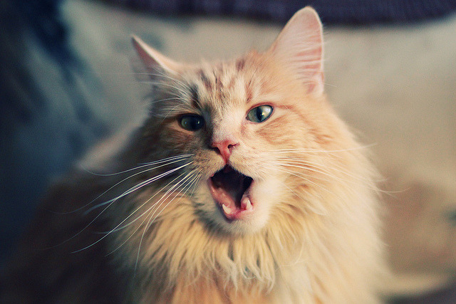 逆境反弹:比赛中最令人震撼的精彩绝杀,逆境翻盘是什么意思