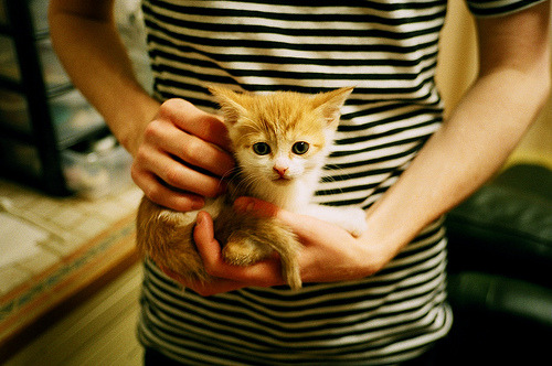 九游网游官网-阿根廷骑手何塞·玛丽亚·拉罗卡在比利时布鲁塞尔Stephex Masters大奖赛中夺得冠军，成为50年来首位获此殊荣的阿根廷骑手