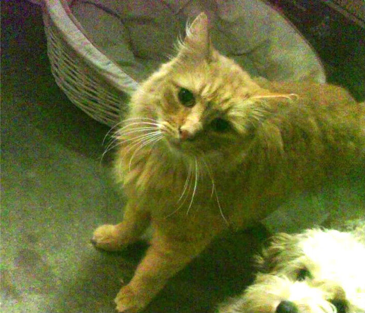 完美赛季落幕,选手光芒熠熠,完美赛季落幕,选手光芒熠熠