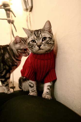 九游app下载中心-摩洛哥队在巴黎奥运会男足比赛中表现出色，赢得金牌，摩洛哥男足阵容