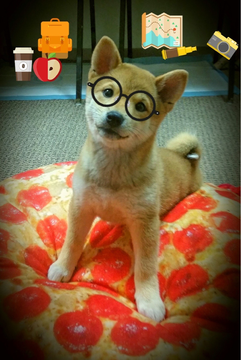 河北华夏幸福将在主场迎战深圳佳兆业，谁能获得比赛胜利？，河北华夏幸福2018