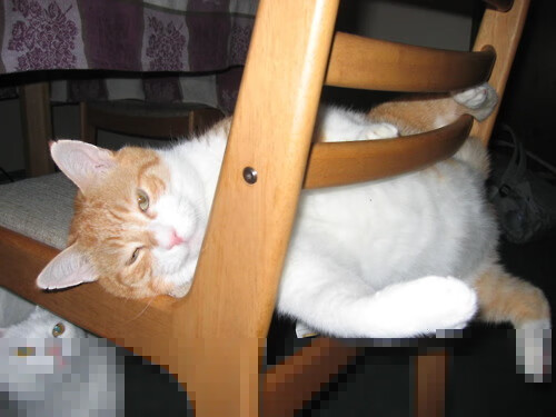 JiuyouAPP下载-火箭战术执行到位赢得比赛，火箭制胜