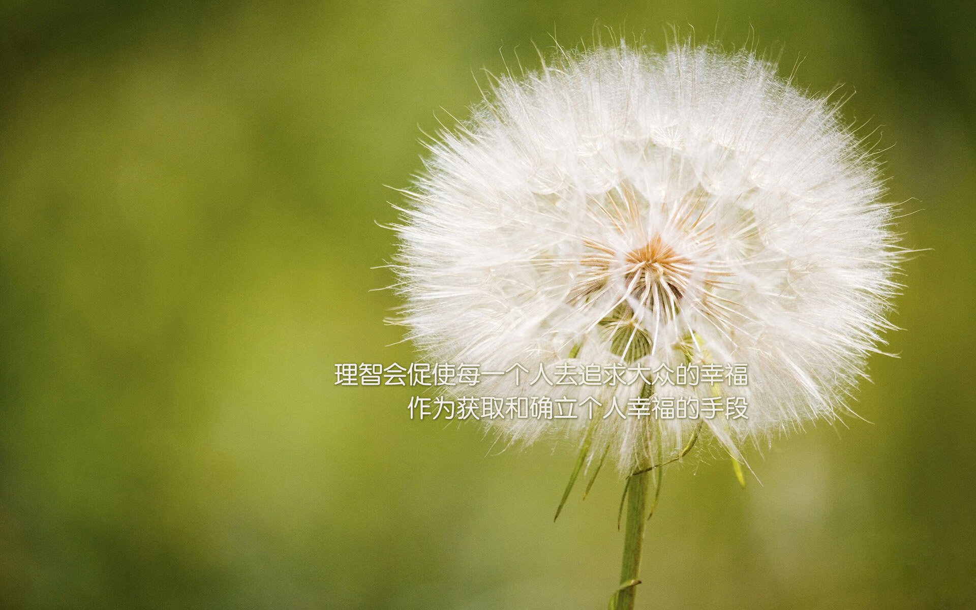 王者荣耀裁判团队首次启用AI误判回溯机制,王者荣耀裁判员