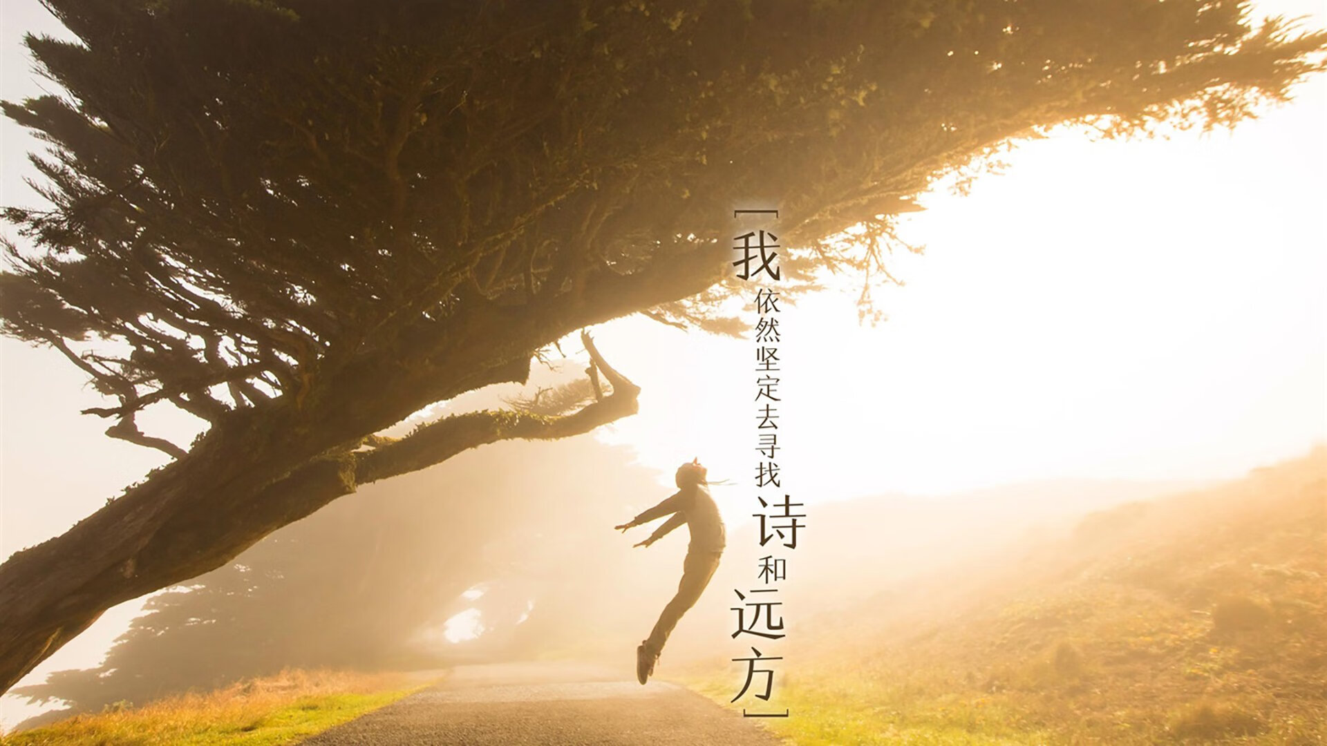 九游用户空间-王者荣耀职业联赛引入运动表现智能评估