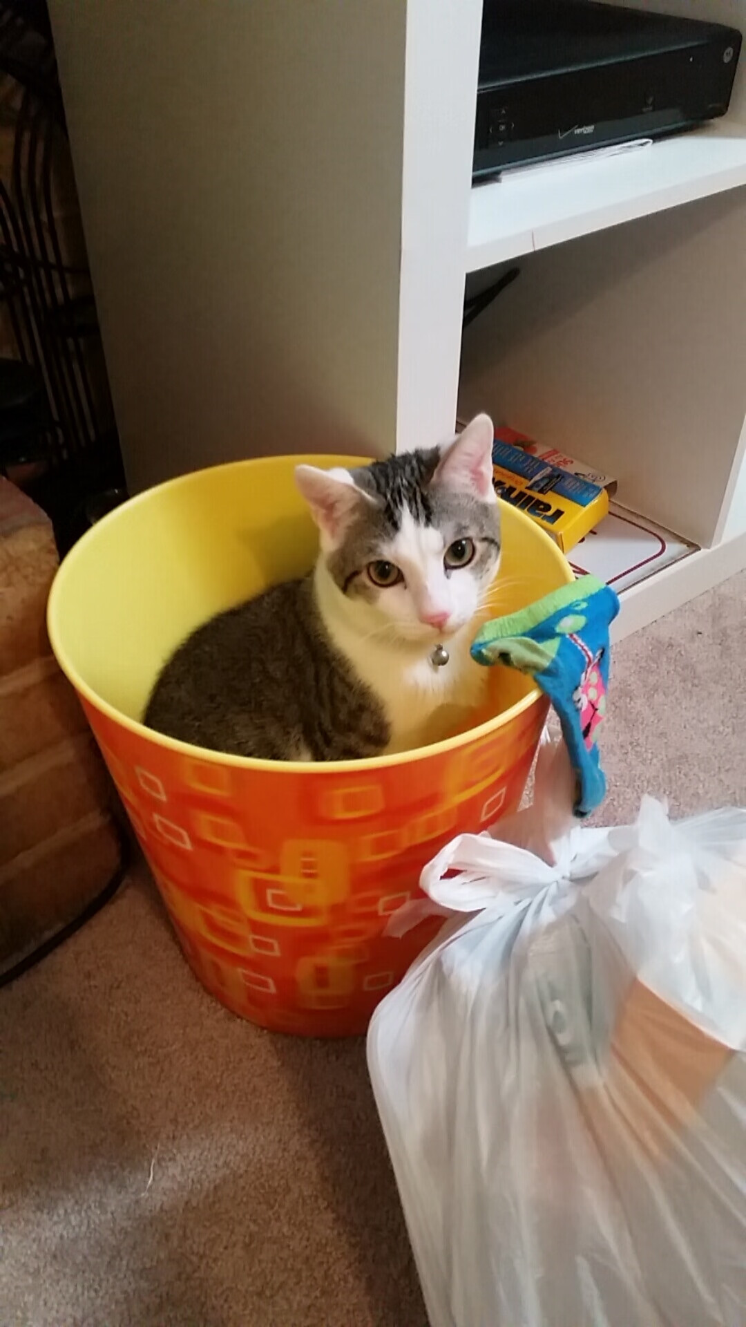 九游APP官网-罗马签下实力前锋，罗马队实力