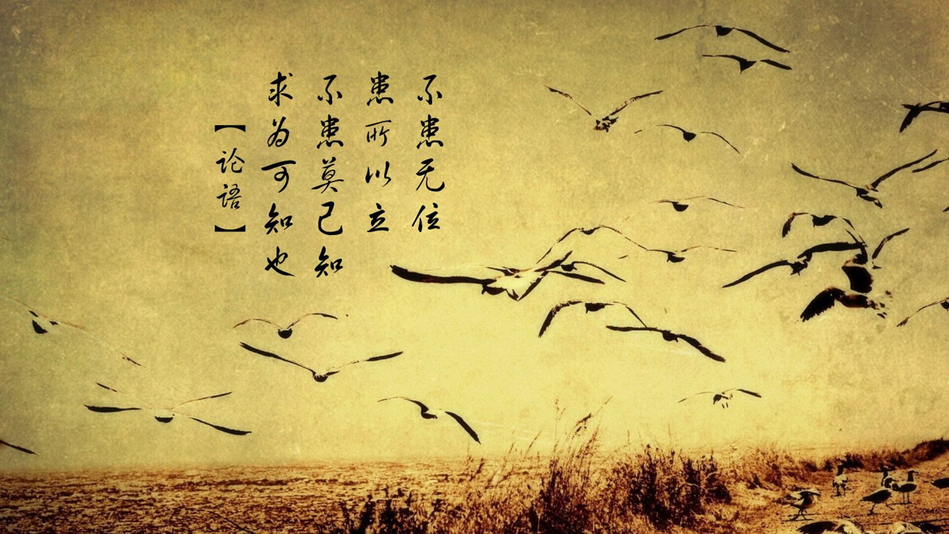 NBA球员转会市场趋势研究,nba球员转会市场趋势研究分析