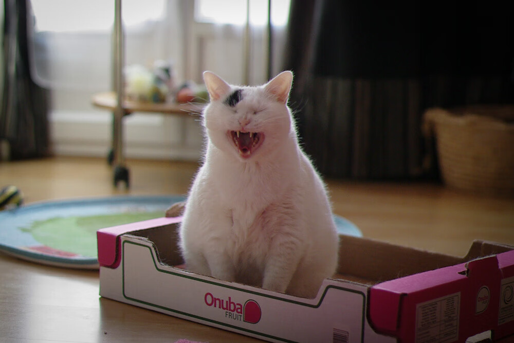 赛季末回顾:最令人难忘的比赛瞬间,难忘的赛程