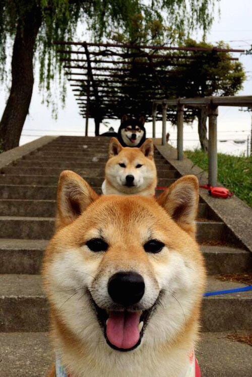 中国女篮不断优化攻守节奏,中国女篮进步