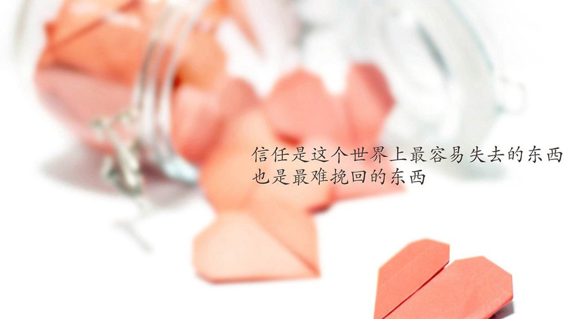 网球新星崭露头角 年仅十六岁闯入八强,网球名星