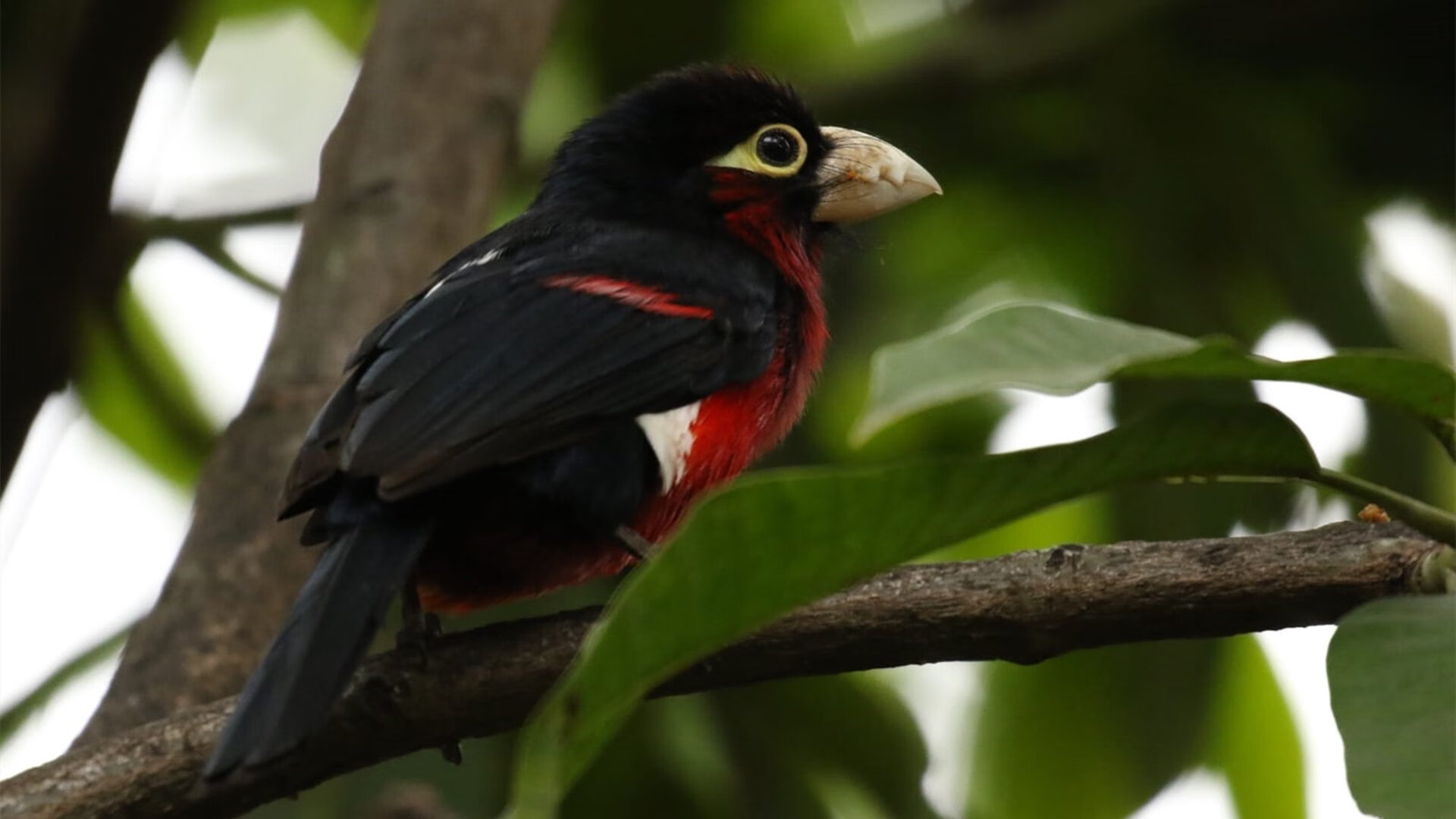 足球青训计划引入沙地练习增强脚感,最实用的足球青训教案