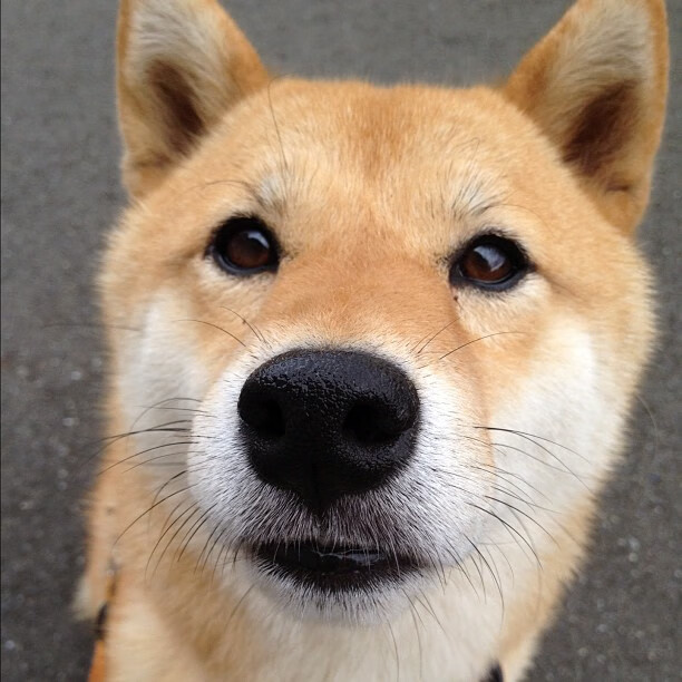 C罗助攻破门帮助球队晋级下一轮，c罗助攻数