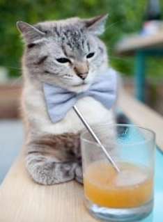 -CBA球员自媒体运营日趋成熟扩大个人影响力，cba业余球员