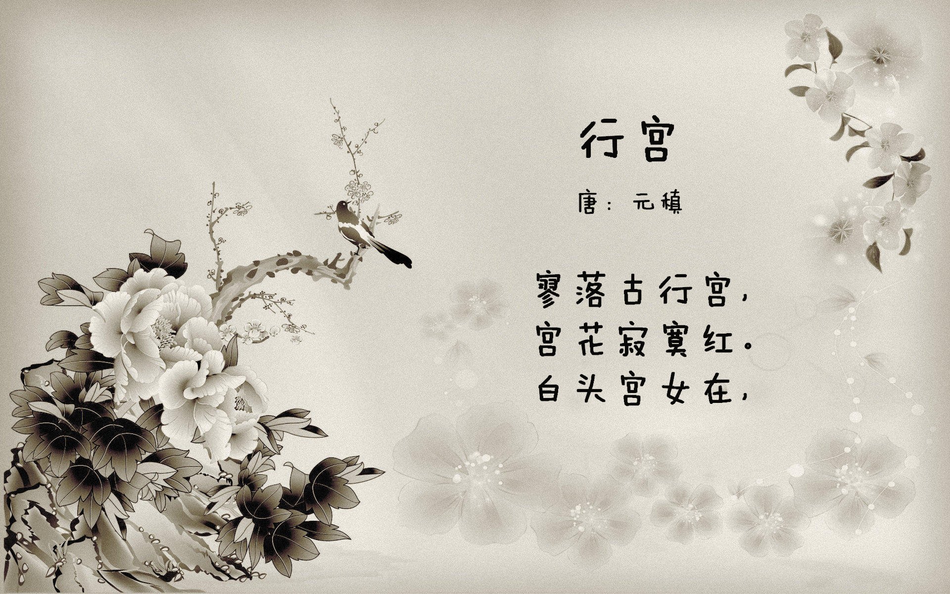 九游娱乐APP-爱尔兰男子橄榄球队迎来全新挑战，爱尔兰橄榄球联赛