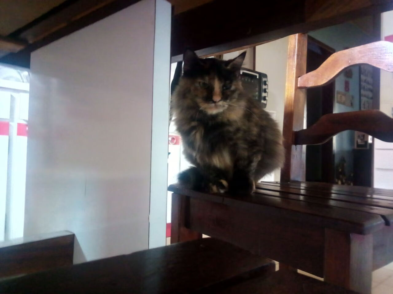 电子竞技足球比赛成为新潮流,吸引大批年轻观众,电竞足球项目