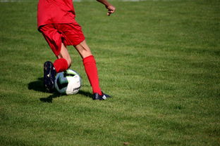 九游网-意甲裁判语义辅助判罚系统提升比赛公平性研究，意甲裁判球衣赞助商